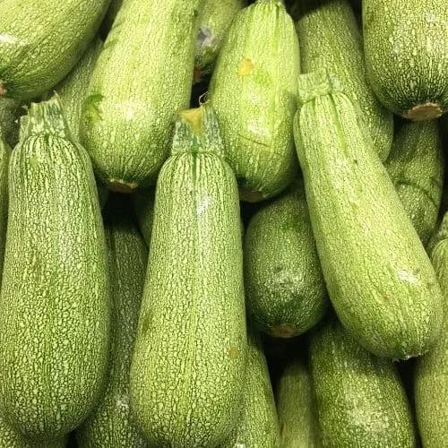 Zucchino Bolognese – 15 Semi – Varietà Antica, Sapore Delicato, Ottimo per Ripieni