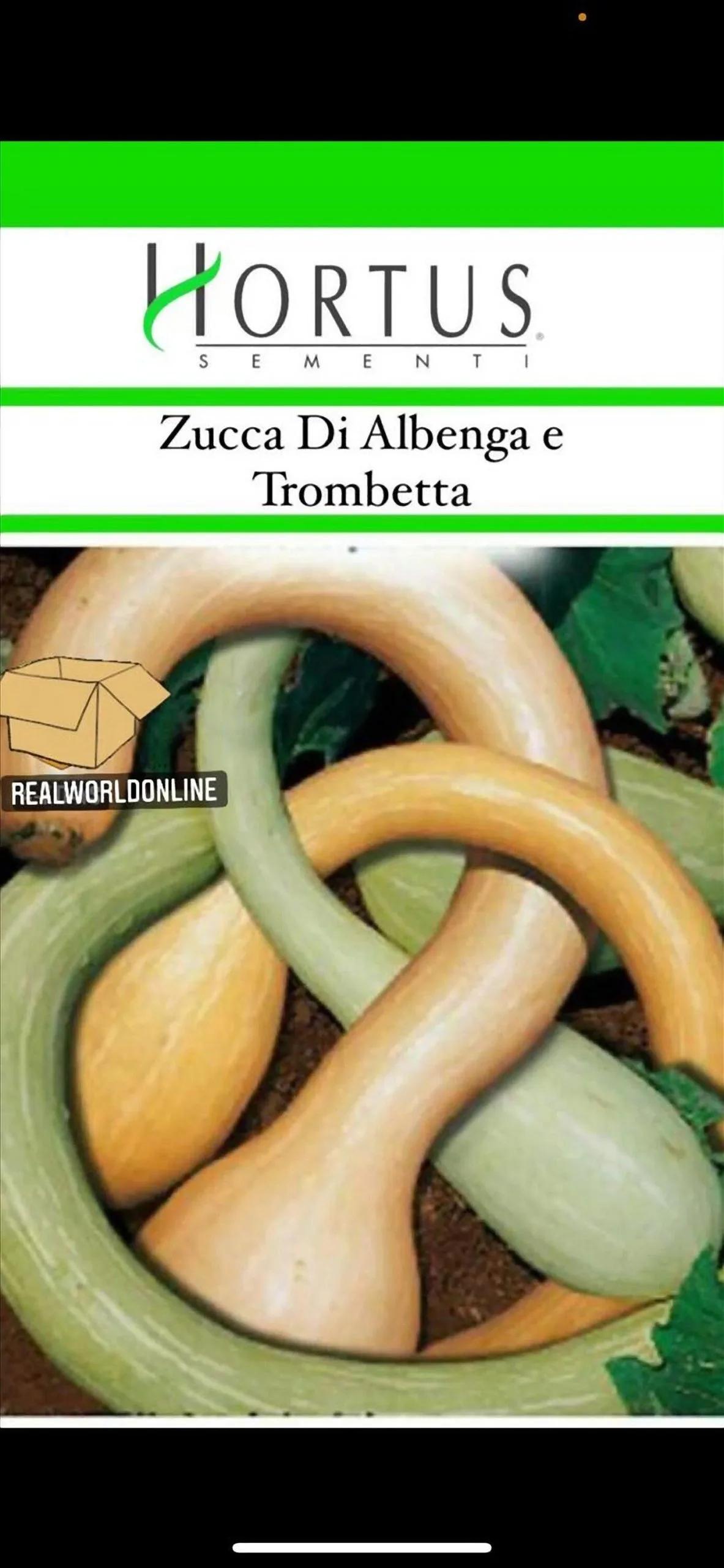 Zucca Trombetta – 30 Semi – Gigante, Rara, Alta Germinabilità, Forma Unica, Polpa Tenera, Ideale per Zuppe