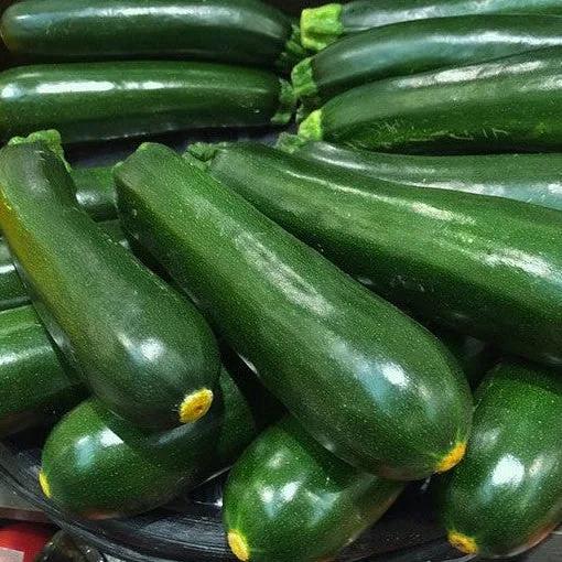Zucchino Verde di Milano – 15 Semi – Varietà Tradizionale, Sapore Delicato, Produttivo