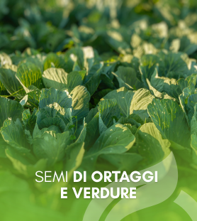 Semi di Ortaggi e Verdure