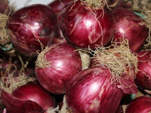10 Semi di Cipolla Tropea Rossa Tonda - Semi Freschi, Alta Germinabilità, No-GMO