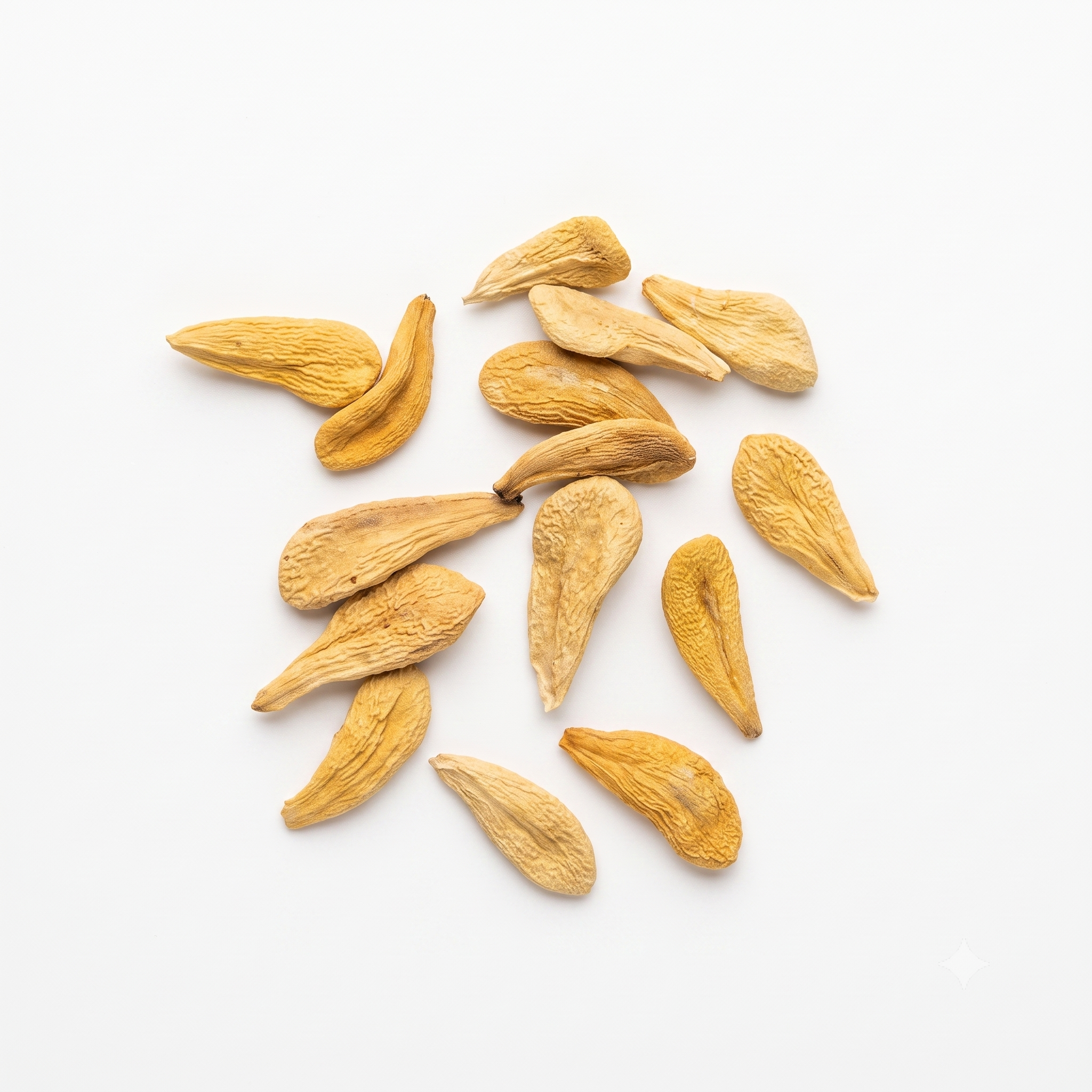 Pachypodium Lamerei Var. Ramosum_seeds