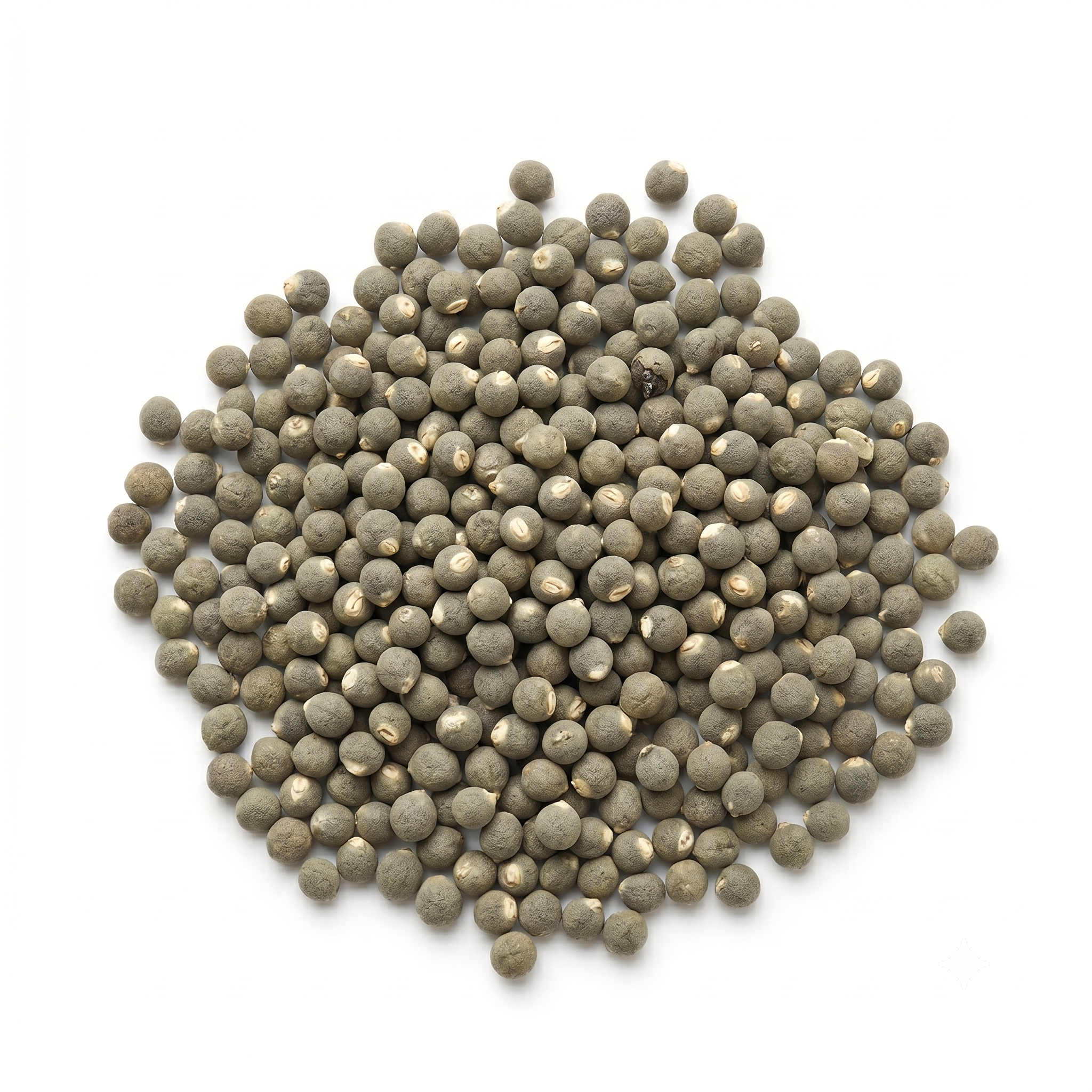 semi_di_Abelmoschus_Esculentus_seeds