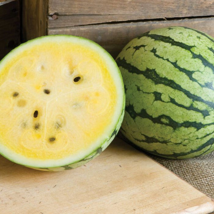 10 Semi di Anguria Gialla - Semi Freschi, Alta Germinabilità, No-GMO